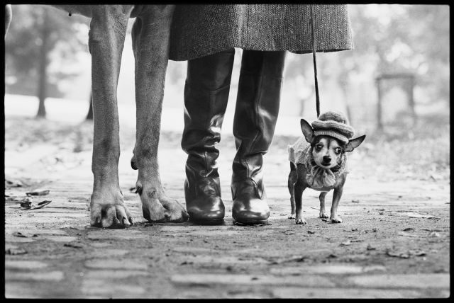 ELLIOTT ERWITT: L’ARTE DI OSSERVARE